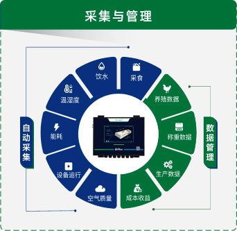 物联网解决方案